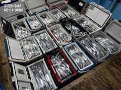 [진해] [29일,준내만갈치]최고5지까지손맛보고~!!! 오늘/내일 예약가…