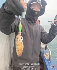 군산포인트호 갑오징어 실시간