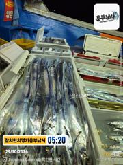 29일입항흥부2호김선장 만쿨부터 두쿨까지 오늘자리여유