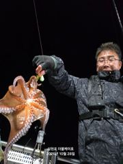 삼천포 문어 주꾸미 조황