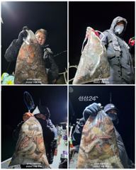 [사천] 10월 28일 야간 돌문어 조황!! 오늘 야간에도 출조 확정!!