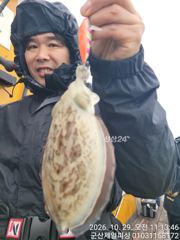 ●군산제일피싱호 큰갑오징어 잘 나오네요 낼자리여유요●