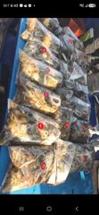 내일 왕쭈 출조확정.몇자리여유.선수모집.쭉~예약중.즐기시러 오세요