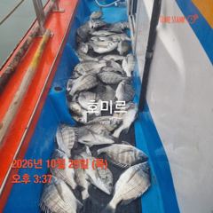 호미르호. 찌낚 사진