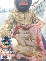 [사천] 10/29 블랙드래곤 갑오징어 꾸준히 ^^(낼자리여유)