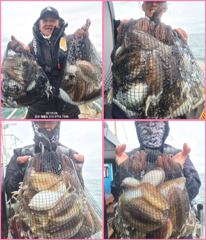 ●넌 망터짐 난 속터짐●10/29 갑·쭈●해롱해롱 해룡호●