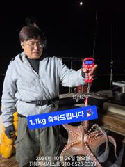 문어] 오늘 야간문어 출항확정 예약가능~ 황제낚시하실분 고고!!~