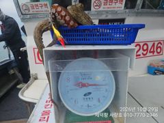 "돌문어"3.4kg2.5kg2.4kg2.0kg1.5kg1.4kg1.3kg1.2kg1.2kg외 중치. 대물들 마릿수조황~^^ (내일예약가능)