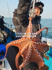 내만 갈치 우와~~씨알이가 쥑입니다~~(일욜부터 예약 가능)