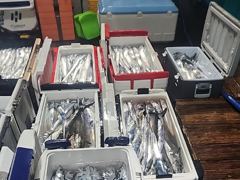 [통영] 통영구디호 갈치 낚시 vvvip 15석 4지 3지 까지