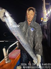 [해남,진도] 진도제이제이 10월29일 진도 먼바다 6지 대갈치 조황입니다