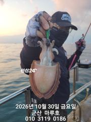 10월 30일 군산 마루호 갑오징어 조황입니다