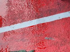 [시간낚시]10월30일인천배낚시덕적호쭈갑조황사진