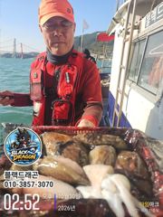[사천] 10/30 블랙드래곤 갑오징어 꾸준히 ^^