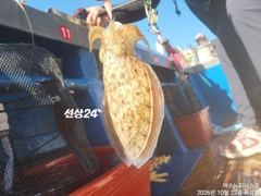 [여수,광양] <여수뉴피닉스호> 왕주꾸미출조ㅡ 월,화 (2일3일) 자리많습니…