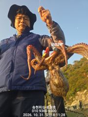[통영] 통영 송현호))킬로 사이즈 돌문어 실시간 마구 마구 히트!