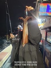 준내만 텐빈 은빛 갈치 3지급 느나느나 조황!! 내일 자리여유많음