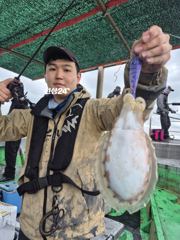 10월 24일 뉴스카이호 갑오징어 조황