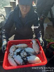 [고흥,녹동] [고흥 바다루호] 10월31일 갑오징어낚시 조황입니다.