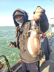 10월 31일 쭈꾸미 갑오징어 조황정보